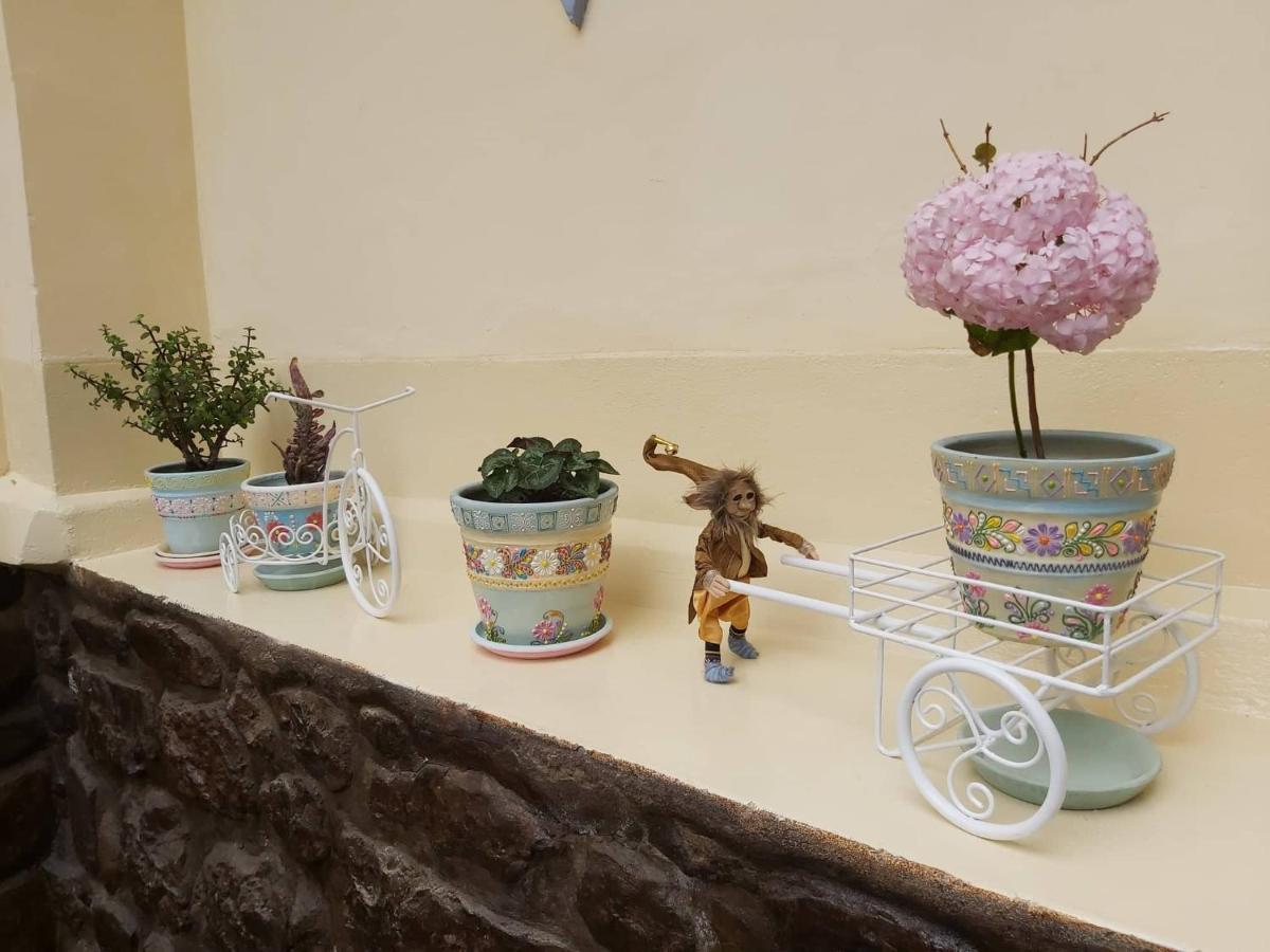Andean Home Cusco Bagian luar foto